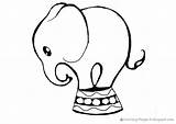 Elephant Drawing Circus Pages Drawings Baby Coloring Cartoon Elephants Easy Outline Cute Kids Getdrawings Paintingvalley sketch template