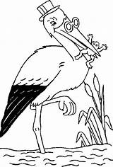 Frog Stork Eating Coloring sketch template