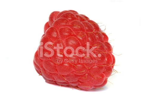 raspberry stock photo royalty  freeimages