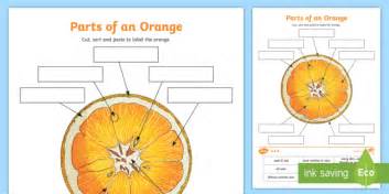 parts   orange worksheet worksheet teacher
