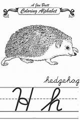 Janbrett Hedgehog Alphabet Coloring Cursive Click Subscription Downloads sketch template