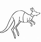 Kangaroo Jumping sketch template
