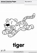 Coloring Tiger Jungle Supersimple Walking Simple Super Pages Animals Song sketch template