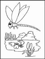 Coloring Pages Dragonfly Printable Color Template Kids Dragon Fly Colouring Print Templates Animal Animals Popular Sheets sketch template