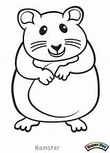 Hamsters Ausmalbild Ausdrucken Ausmalen Chinchilla Critter Dwarf Unclebills Clipartmag sketch template