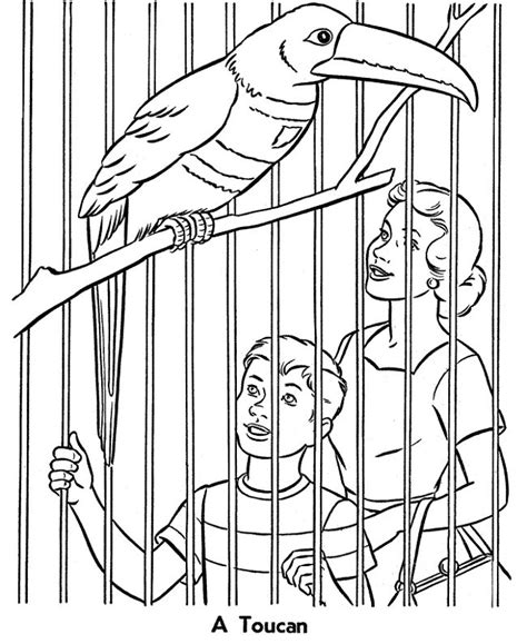 printable coloring pages   bird cage zoo animal coloring pages