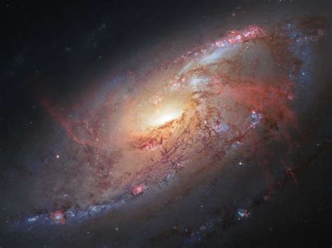 amateur astronomer s picture reveals stunning details about our galactic neighbor business insider
