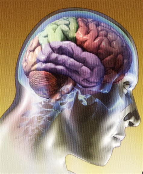 aromaterapia cerebro
