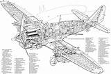 Fairey Firefly Aircraft Cutaways Cutaway Blueprint sketch template