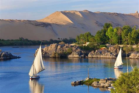 days egypt  packages cairo nile cruise  red sea travel  egypt egypt holiday