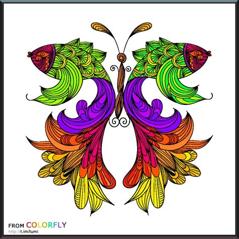 coloring colorfly adult coloring color fly