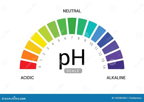 ph scale indicator  ph  expressing rate  acidity  basicity