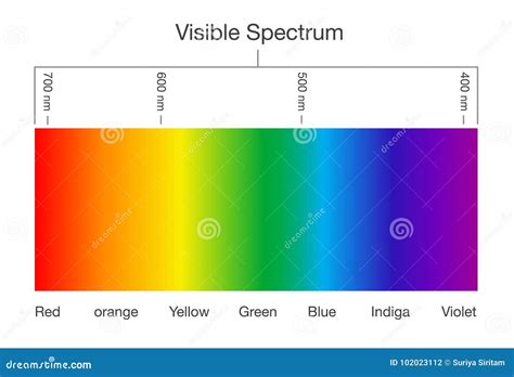 sichtbares spektrum des lichtes vektor abbildung illustration von strahlung erklaeren