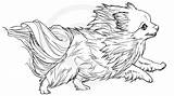 Pomeranian Lineart Henu Line Animal Spitz sketch template