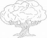 Coloring Pages Oak Tree Trees Life Printable Color Getcolorings Comments sketch template
