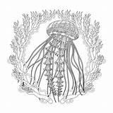 Jellyfish Coloring sketch template