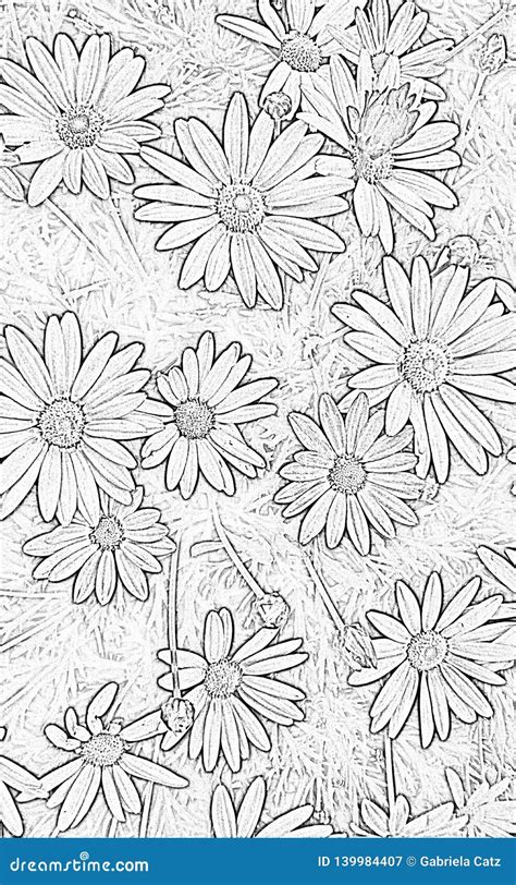floral page stock illustration illustration  child