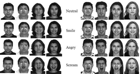 facial action coding system facial face