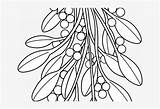 Mistletoe Christmas Coloring Pages Line Pngkey sketch template