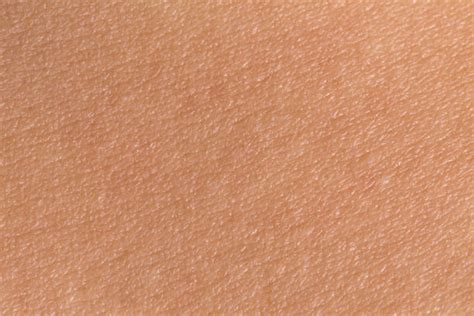 human skin close  stock  pictures royalty  images istock