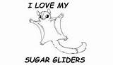 Glider Sugar Coloring 24kb 175px sketch template