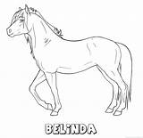 Belinda Paard Naam sketch template