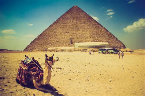 10 interesting facts about egypt teach away