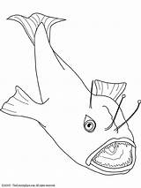 Anglerfish Coloring Colouring sketch template