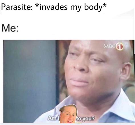 parasite invades  body rmemes