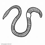 Coloring Pages Worm Earthworm Printable Clipart Print Colouring Worms Gif Library Pdf Popular Animal sketch template