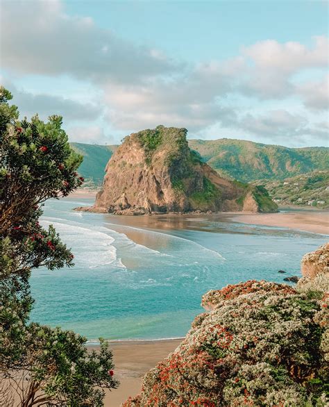 beaches   zealand  visit hand luggage  travel