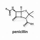 Penicillin Penicillina Chemische Formule Penicilline Formel Chimica Molecolare Molecule Illustrationen Vektoren Achtergrond sketch template