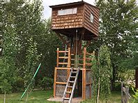 building  treehouse   trees options