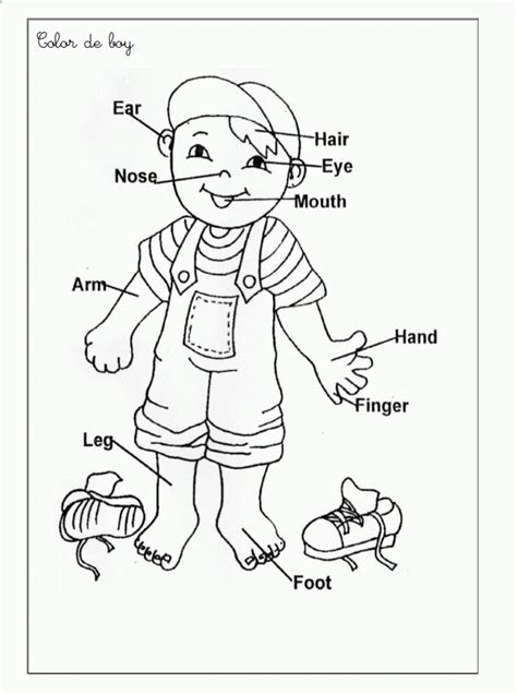 printable coloring pages body parts preschool body parts  kids