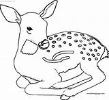 Coloring Deer Spotted Charge Wecoloringpage sketch template