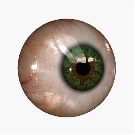 dsmax realistic human eye