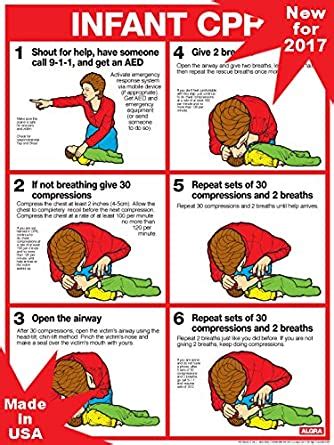 cpr  infants updated standards      laminated poster