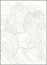 Horse Coloring Pages Number Color Numbers Horses Haven Books Publications Dover Welcome Printable Choose Board Adult sketch template