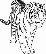 Harimau Dangerous Koleksi Kepada Ringkasan Mewarna Diberikan Danger Wecoloringpage sketch template