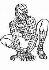 Herois Spider Colorindo Spiderman sketch template