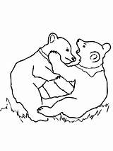 Bear Cubs Coloring Grizzly Playing Netart Animals Color sketch template