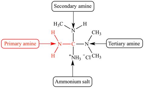 illustrated glossary  organic chemistry primary amine
