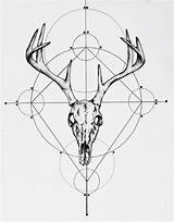 Deer Drawing Skull Print Skulls Foundmyself Albums Getdrawings sketch template