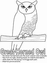 Horned Canadian Alberta Owls Provinces Kidzone sketch template