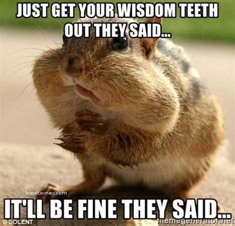 25 Wisdom Teeth Memes That Are Too Funny For Words
