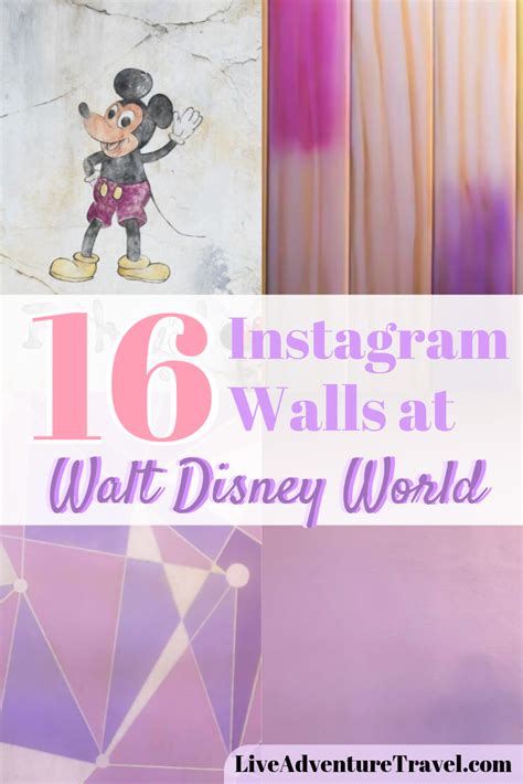 disney instagram walls  cute pictures  walt disney world instagram wall disney