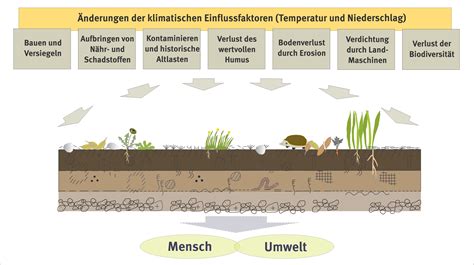 bodenbelastungen umweltbundesamt