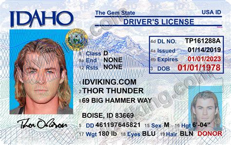 drivers license id template