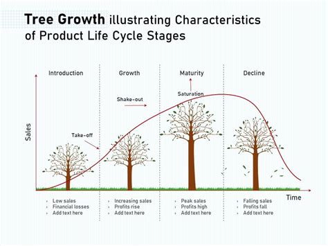 tree growth illustrating characteristics  product life cycle stages