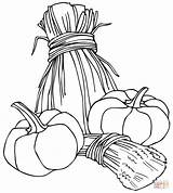 Coloring Wheat Pages Pumpkins Sheaves Printable Drawing sketch template